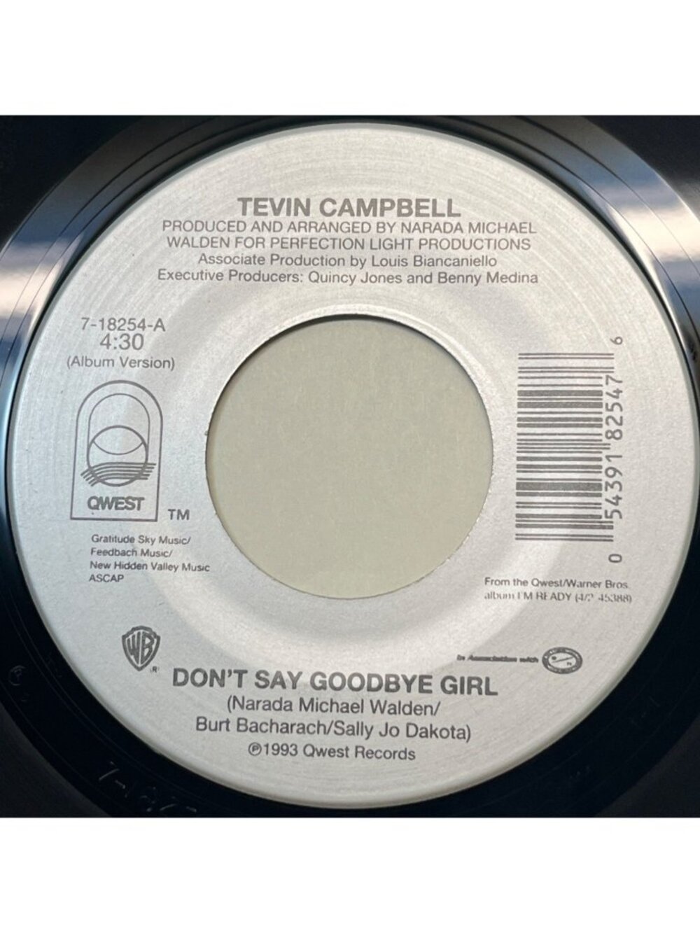 Tevin Campbell Dont Say Goodbye Girl / Halls of Desire 45 Vinyl 90s Soul R&B